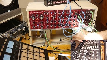 Techno Jam - Behringer Neutron, Korg SQ1, Ableton Live Wavetable