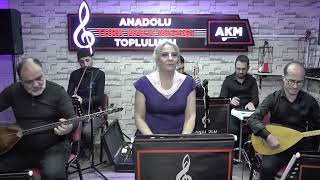 Turnamın Kanadı Al Yeşil Telden Emine Uzun ...