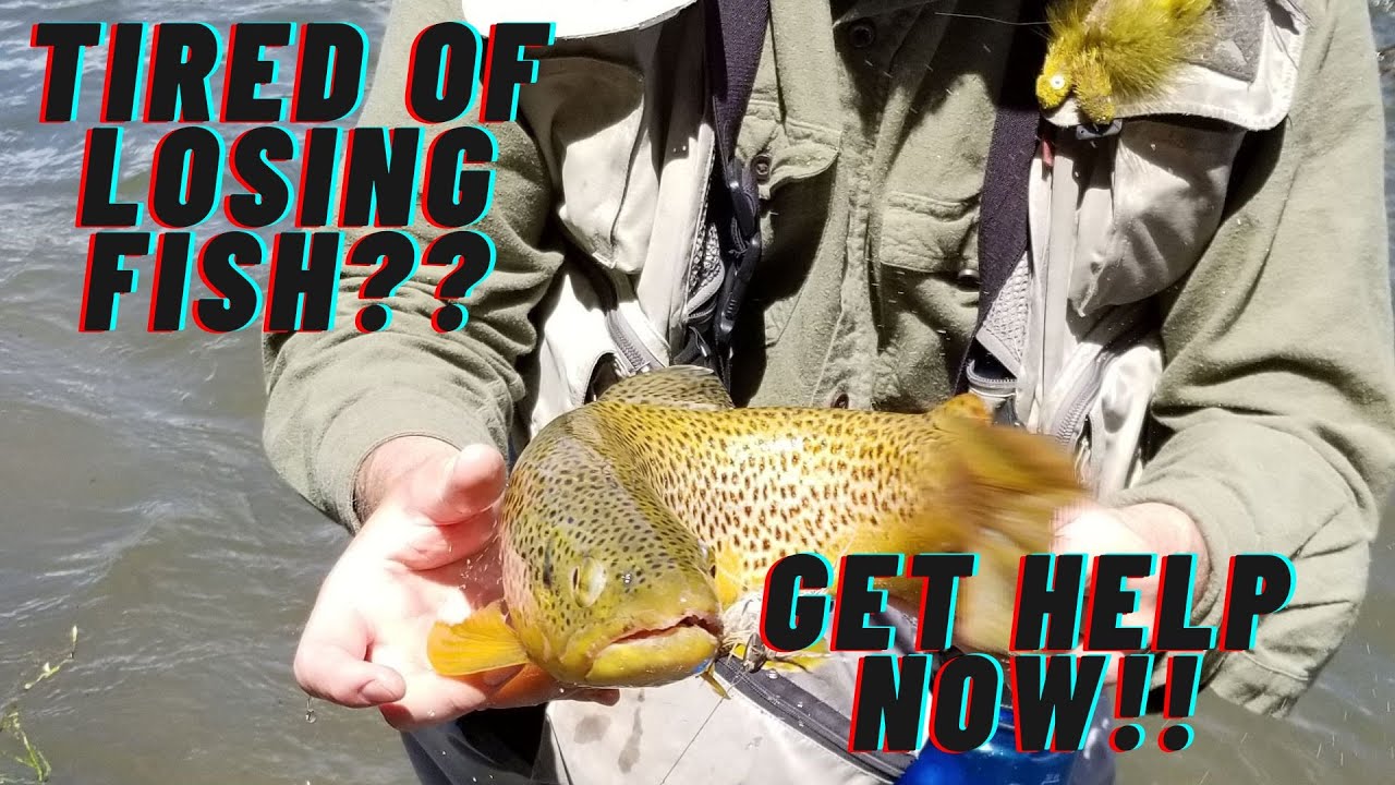 Fishing | How To: NOT LOSE FISH! #fishing #flyfishing #bass - YouTube