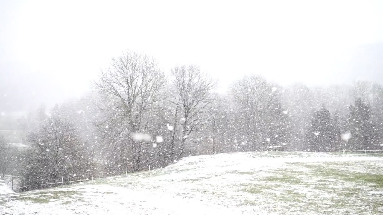 Snow Day music to enjoy on a snowy day YouTube