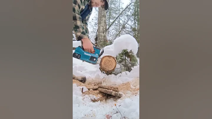 Makita VS Milwaukee TopHandle Cordless Electric Chainsaws