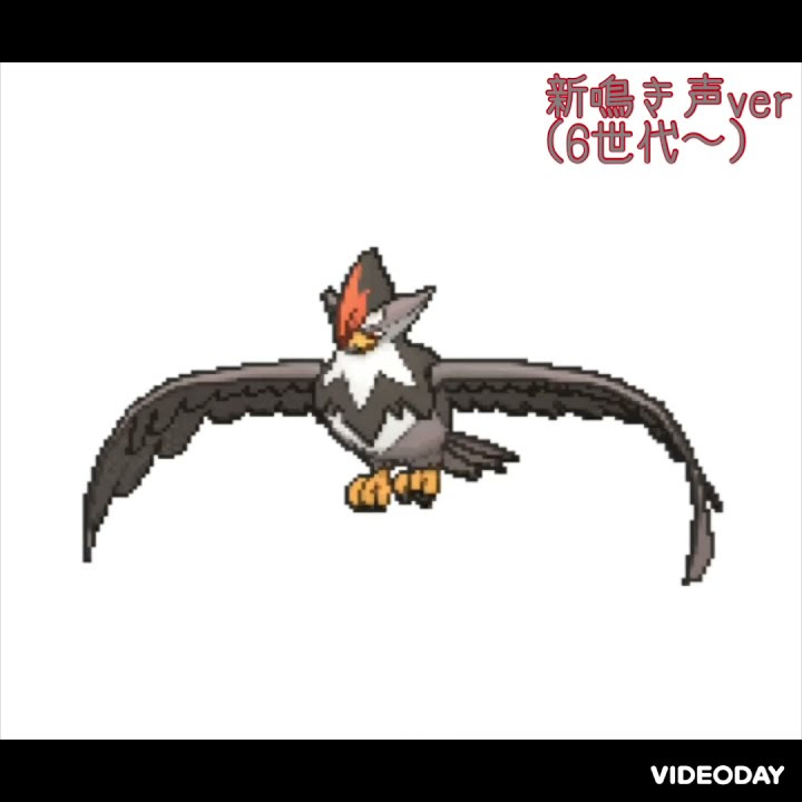 ムクホーク 新旧鳴き声比較 Youtube
