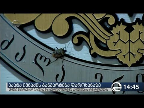 პაატა იმნაძე: აზიური ფაროსანა არ იკბინება