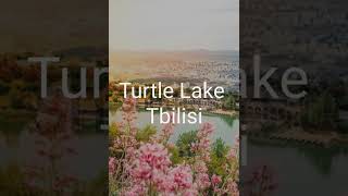 Explore Turtle Lake in Tbilisi #shorts