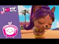 ✨🎥 LIGHTS, CAMERA AND BOLLYWOOD 🎥✨ PREMIERE 🤩 NEW Season 💖 VIP PETS 🌈 CARTOONS for KIDS in ENGLISH