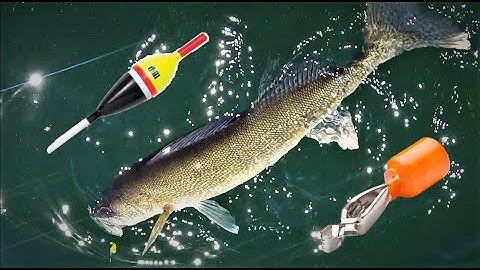 How To Set A Slip Bobber