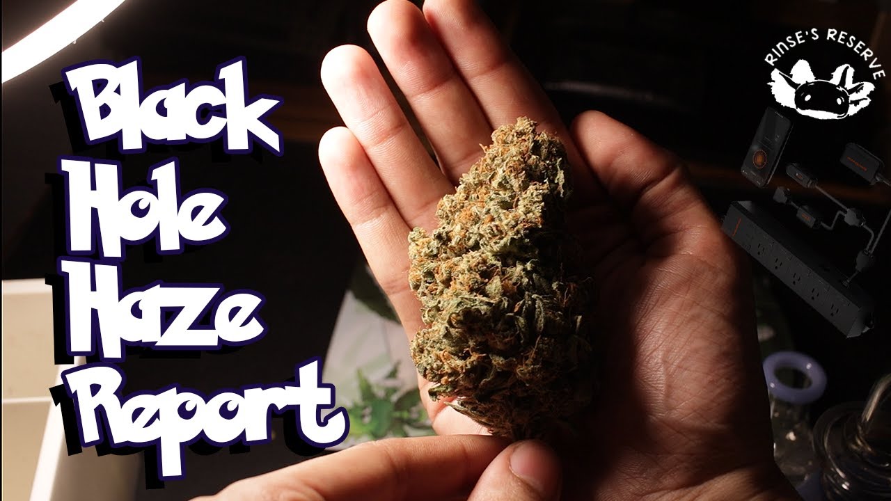 the CHONKIEST FLOWER EVER! - Seed to Harvest Report Black Hole Haze 