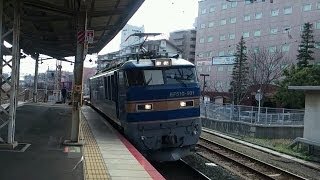 JR貨物 EF510-501号機[富]+コキ20B 3095レ【青釜トップナンバー牽引＆UM12A・UR17A積載！】@茨木