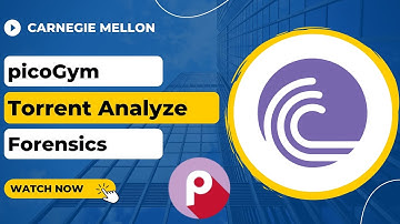 picoGym (picoCTF) Exercise: Torrent Analyze