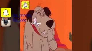 اللي مركب المقطع مطلوب حي أو ميت هههه 8