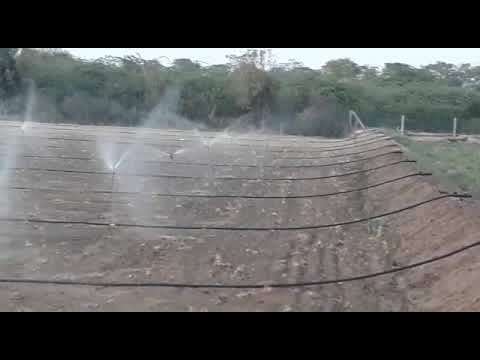 Mini Sprinkler Irrigation System