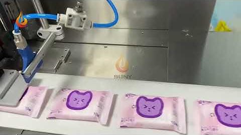 Travel Pack Wet Wipes Machine | Wet Wipes Production Line