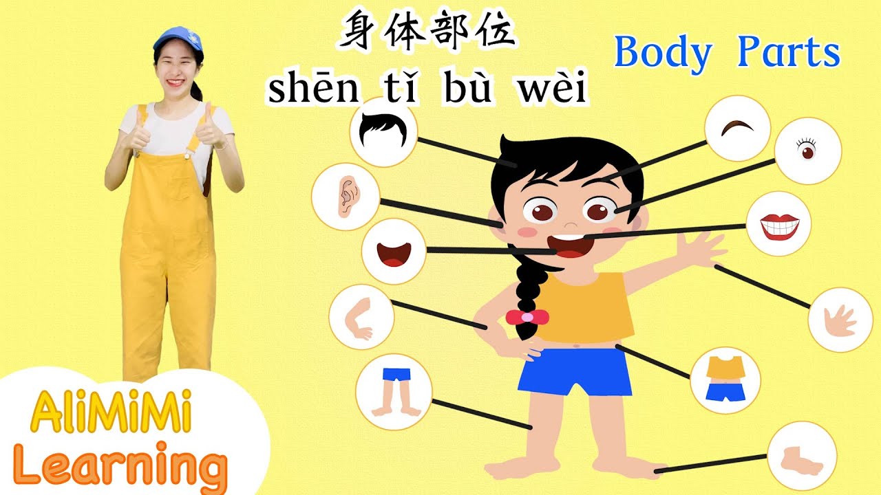 学中文身体部位 Learn Part Of The Body In Chinese Body Parts Name In Chinese Youtube