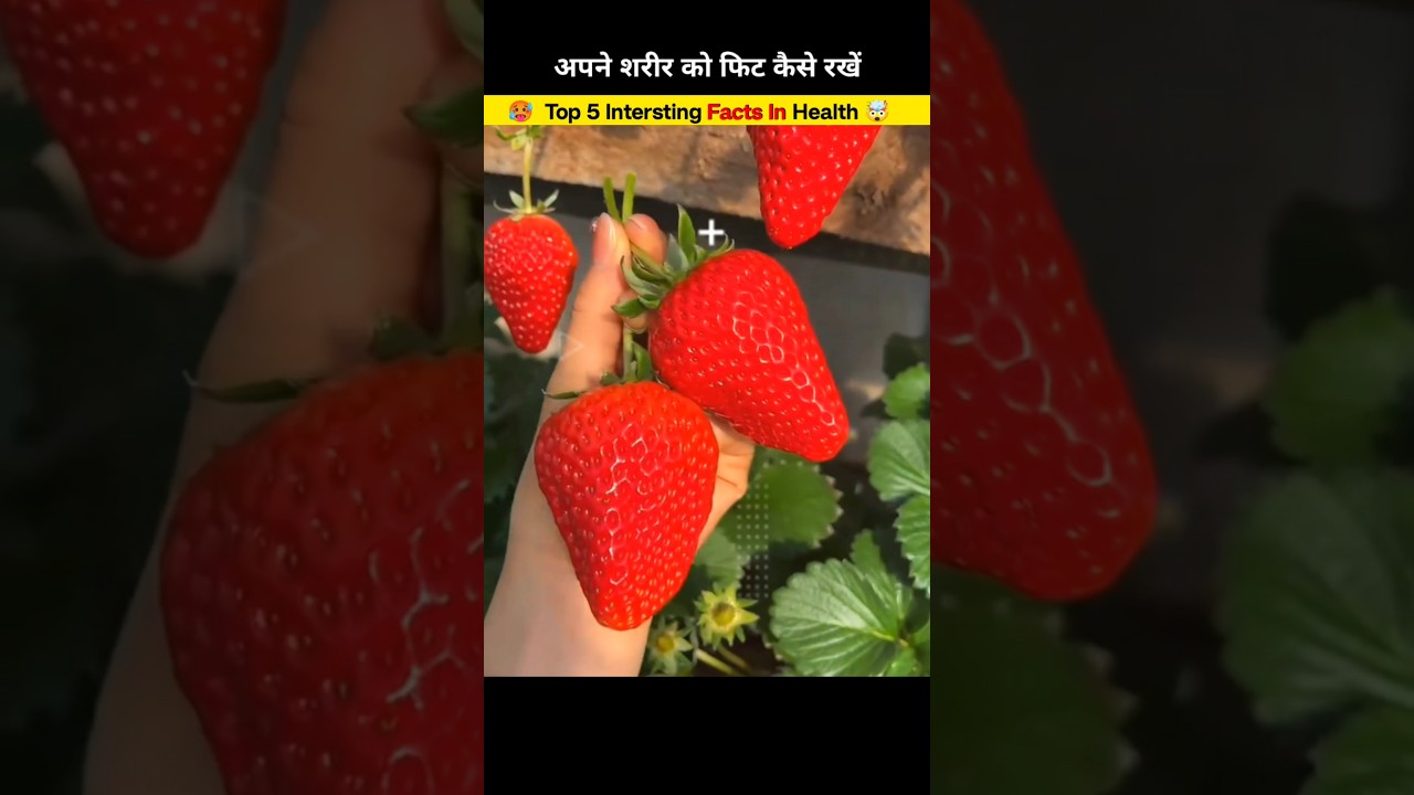 Top 5 Amazing Facts About Food 😱 | Mind Blowing Facts In Hindi | Random Facts 