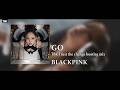 BLACKPINK - GO (TBK Trust the change bootleg remix)