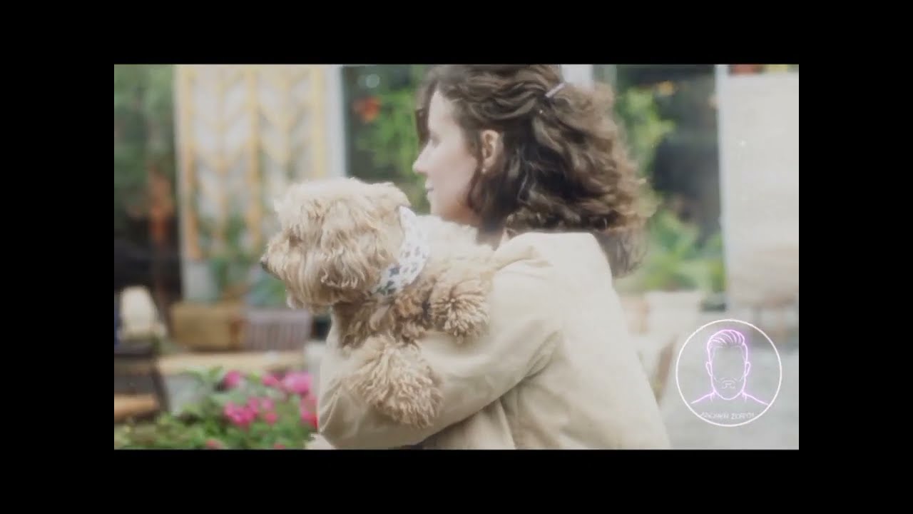 Andren Zoryn - "Там де почнеться любов"