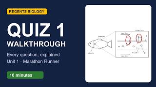 Information Quiz 1 10.02.26 review Guide