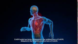 Ubiquinol Advances In Next Generation Co-Q10 And Heart Health