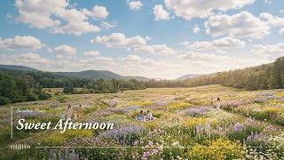 [Cozy &amp; Sweet] 🌿 Beautiful &amp; Calm Music for Journaling and Tea Time | Meadow Notes