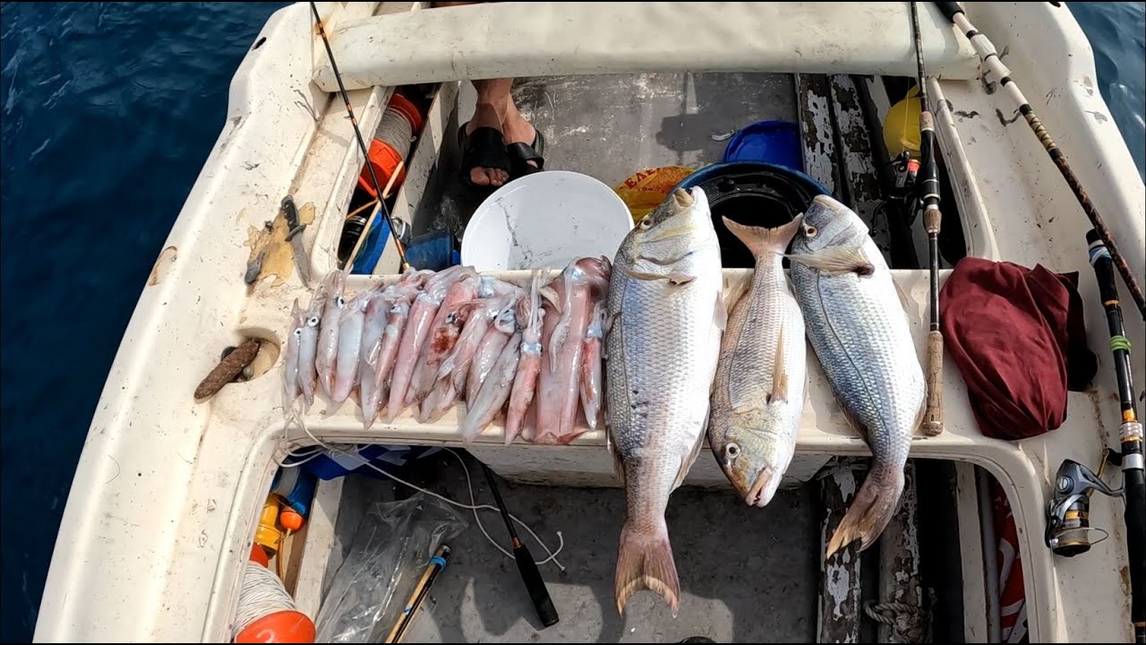 Η Καθηλωτική πλοκή του ψαρεματος Συναγριδες Καλαμαρια