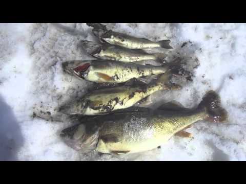 Lack of Oxygen killing all sizes of fish on Lake of The Prairies