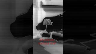 look into her eyes with sensation||#dragonpuppets #darwing #creepy #editing