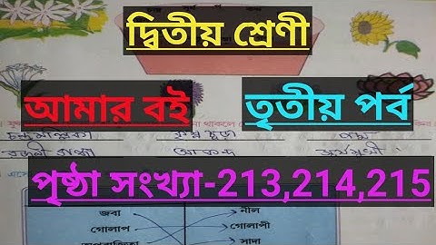 Class-2#amar boi#part-3#page no-213,214,215, দ্বিতীয় শ্রেণী/আমার বই/তৃতীয় পর্ব