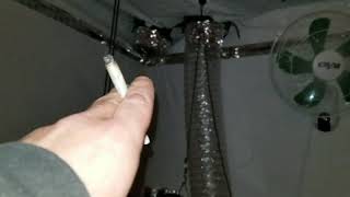 Last update In the flower tent and sneak peek in the new spot