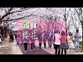 [5G 8K VR] 벚꽃투어 3 부산