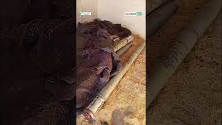 اكتشاف صواريخ بعيدة المدى من مخلفات ميليشيا PYD شمال الرقة
