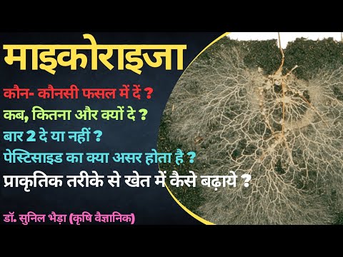 वीडियो: राइसर का उपयोग कब किया जाता है?