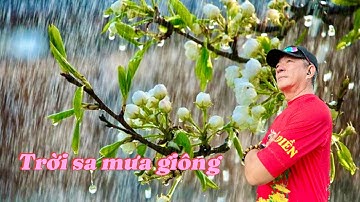 CHỦ NHẬT TRỜI SA MƯA GIÔNG