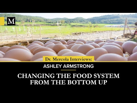 Changing the Food System From The Bottom Up - Interview With Ashley Armstrong