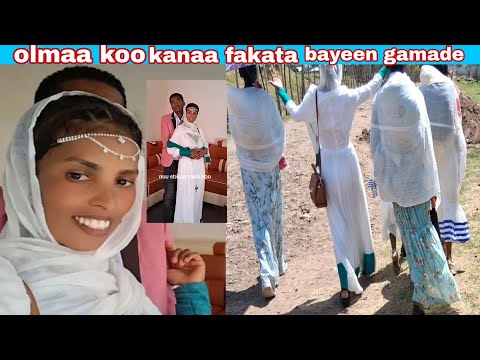 Guyyaa Addatii Kan Dabarsinee Bayee Namatii Tollaa