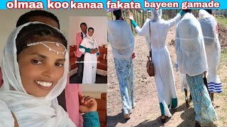 Download Lagu #guyyaa addatii kan dabarsinee bayee namatii tollaa MP3