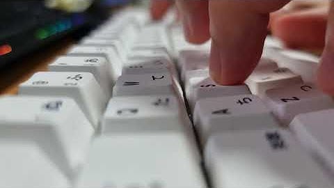 FEKER 홀리판다 타건 / FEKER Holy panda sound test