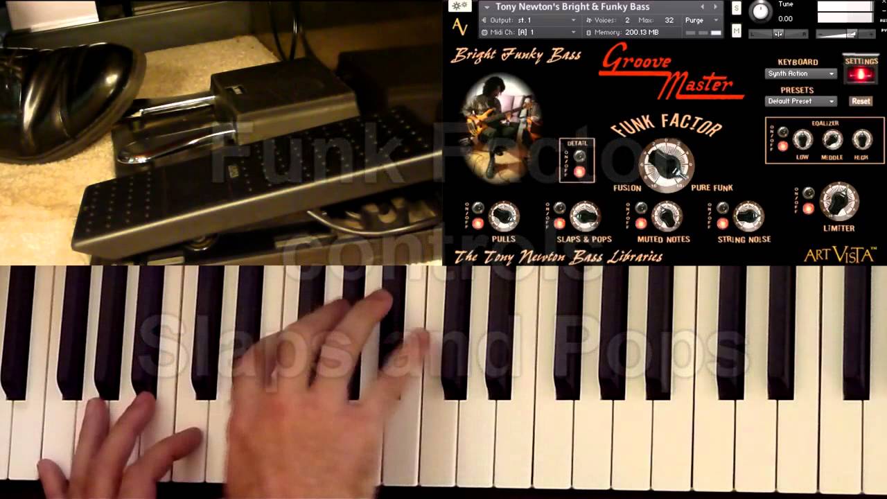 Art Vista GrooveMaster - Tony Newton's Bright Funky Bass