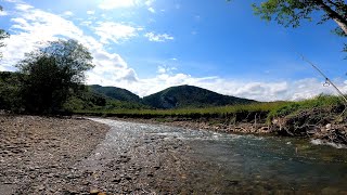 Ultralight fishing on the creek. Brown trout C&R.