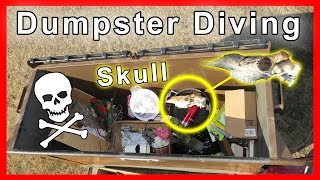 Found skeleton skull Dumpster Diving #217