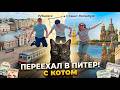 Переезд в Питер в 32 года с котом. Из Сибири в Санкт-Петербург