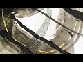 Capture de la vidéo Landshapes - Sea Snail (Landshapes Hybrid)