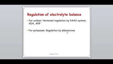 video 2. lecture 1. part 2. Introduction to body fluids