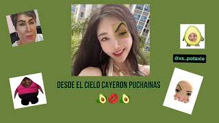 Musica Potaxie Suscribanse A Xspotaxie01