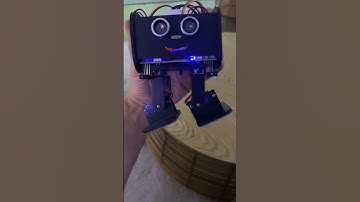 Bipedal robot walking with minimum viable physiology