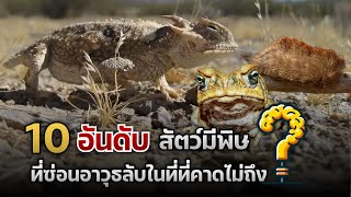 10 อันดับสัตว์มีพิษ ที่ซ่อนอาวุธลับในที่ที่คาดไม่ถึง