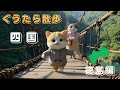 【ぐうたら散歩】〜四国・徳島編😸😸🐾