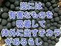 体内に入った有害物質を排出する梅干しの黒焼きを作ってみました。  30秒あたりとラストに何やら写ってます。 さて なんでしょう。