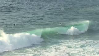 Bronte & Tamarama Surf Check Wednesday March 13th 2024 8:00am