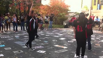 Kappa Phi Lambda - Yard Show 2010 (HD)