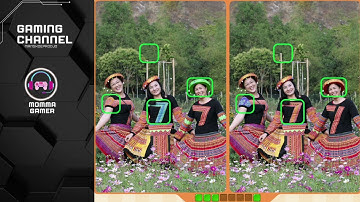 Differences 53-Find them all | Tricky Solutions and Walkthrough | Guide Level | Puzzle Tips & Tricks